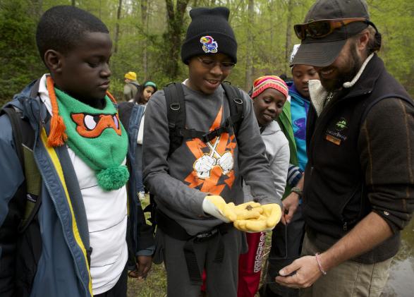 Students in Prince William Forest examine a critter.