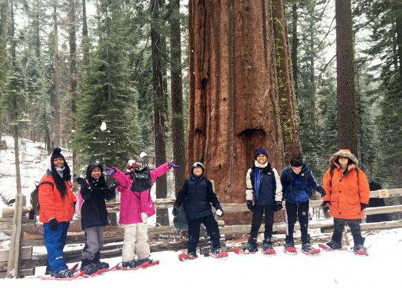 seven students snowshoeing pose in front of sequoia tree