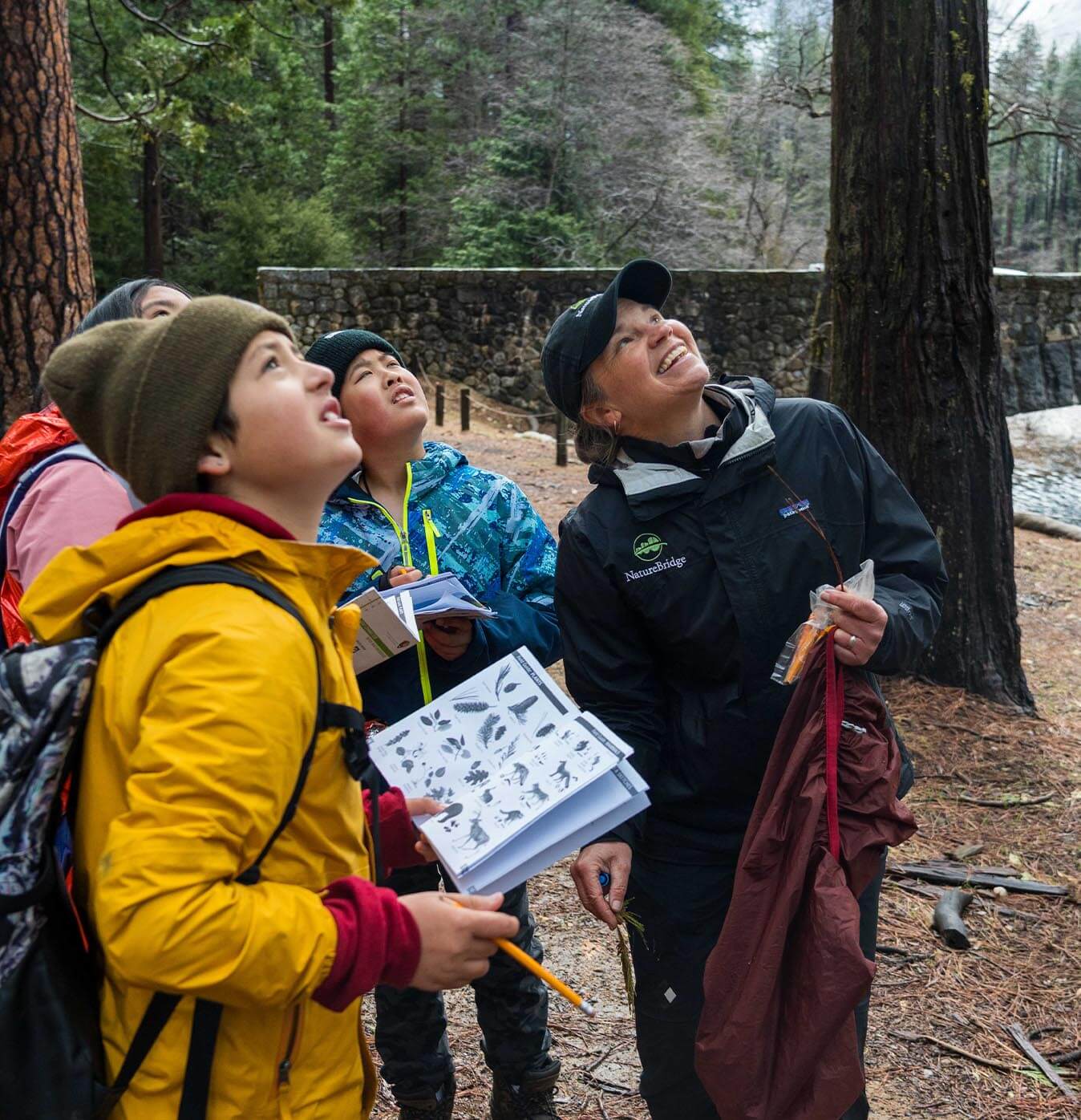 Looking Back, Moving Forward