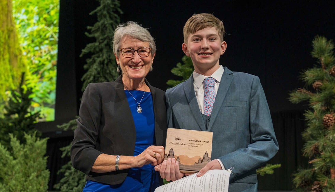 Triangle behind a mountain range made with structural grid like texture