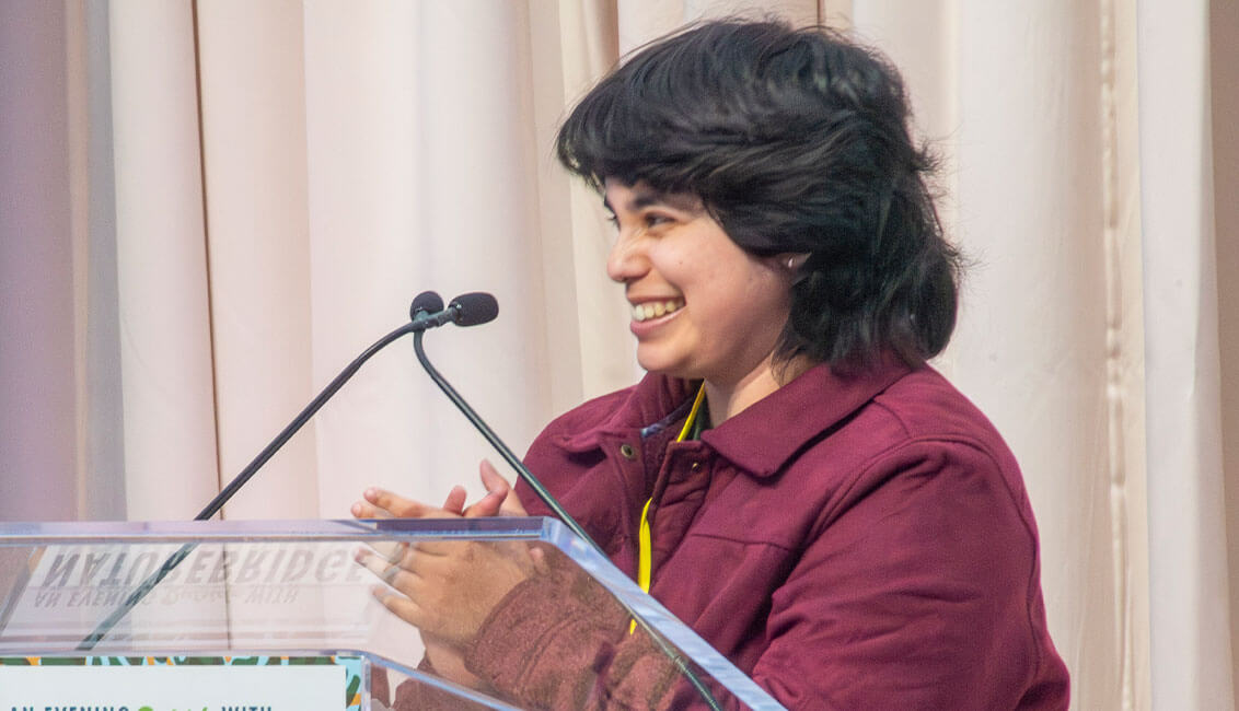 Triangle behind a mountain range made with structural grid like texture