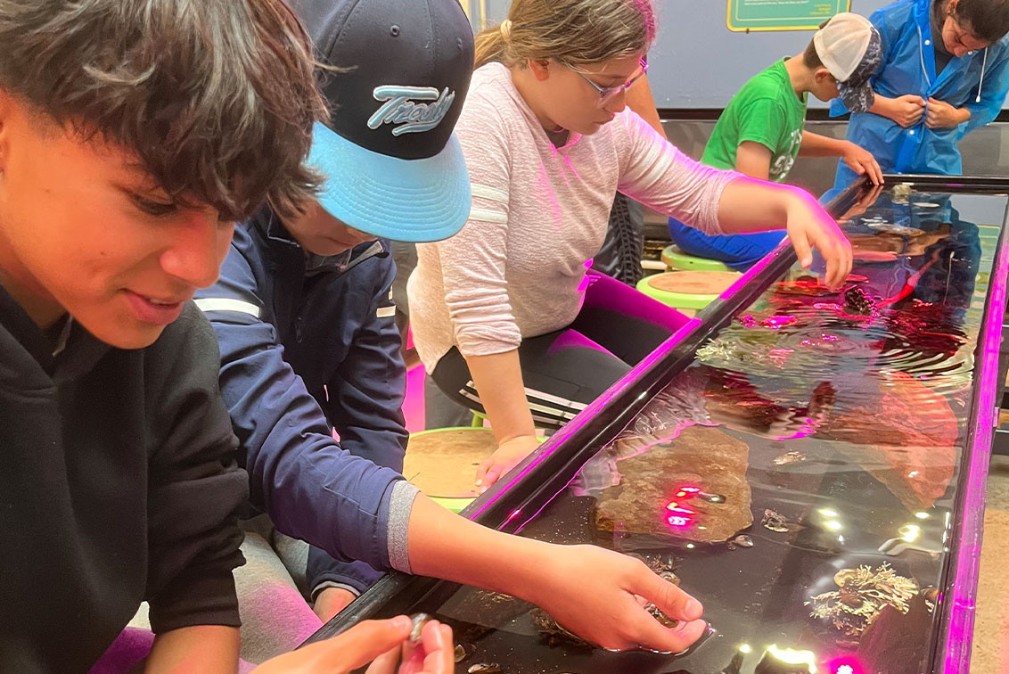 Expanding Lab Spaces at Golden Gate