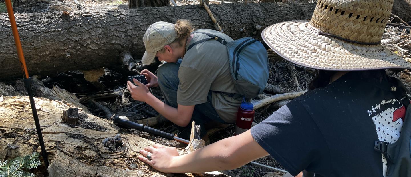 Monache High School participants Logan and Genesis admiring and photographing some fungi.