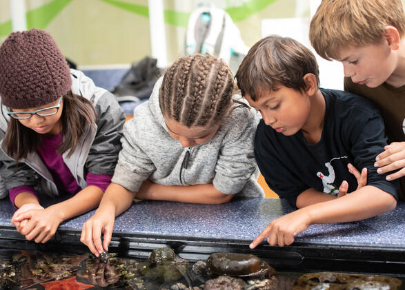 Students learning at the Marine Lab