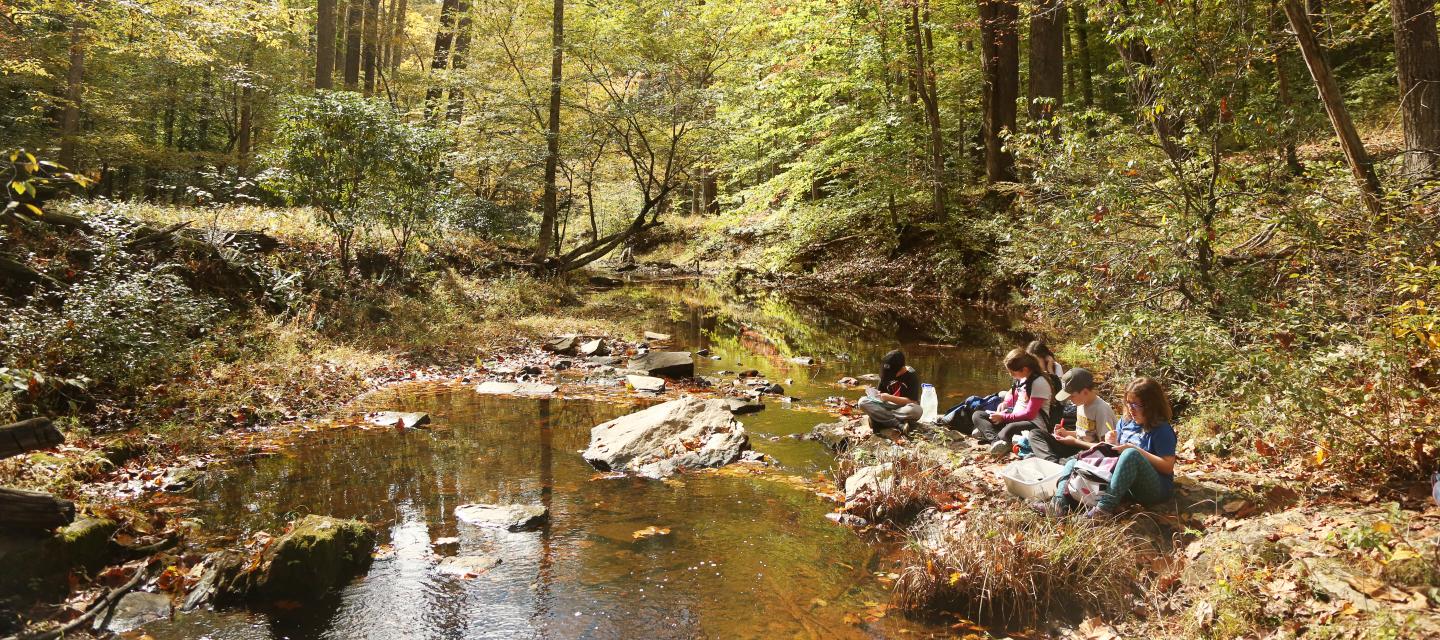 Students conduct a science investigation on the shores of Quantico Creek in Prince William Forest