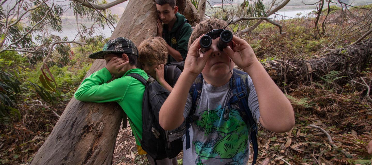 Students in Olympic National Park using binoculars and "listening" to a tree in the forest