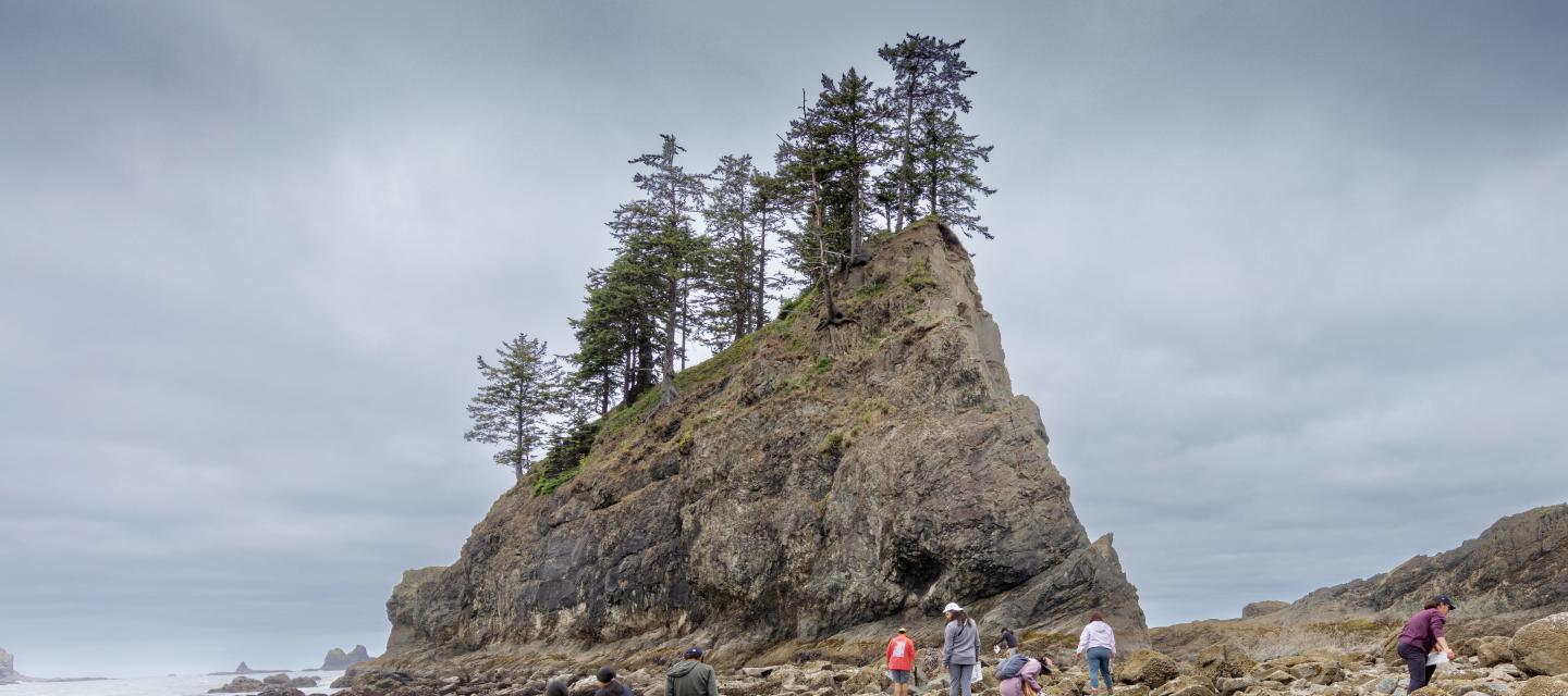 Students hike the coastline in Olympic National Park