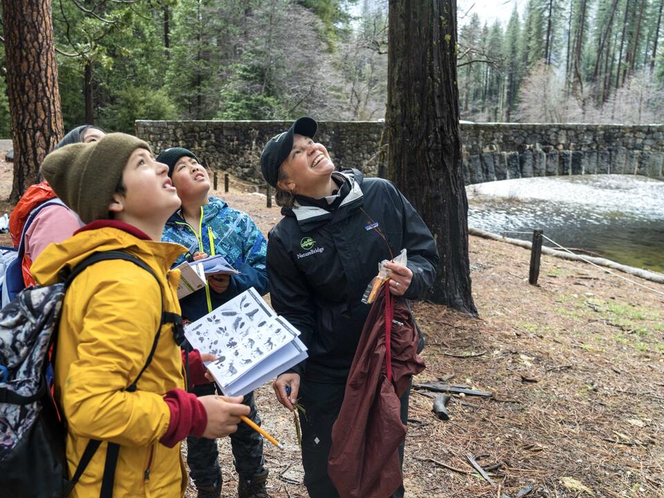 School group and students viewing trees and studying science at NatureBridge Yosemite