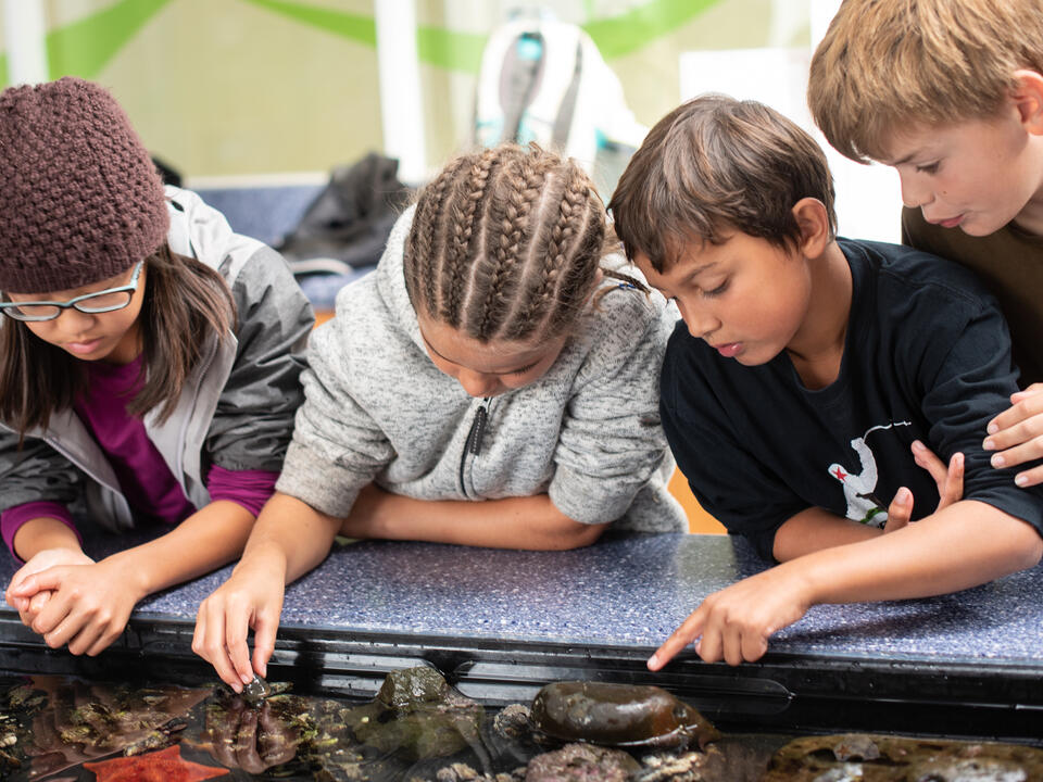 Students learning at the Marine Lab