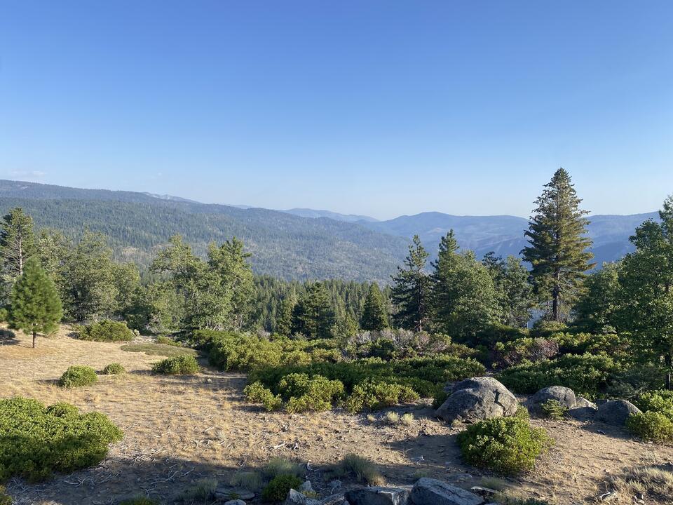 Surrounding area near the National Environmental Science Center in Yosemite