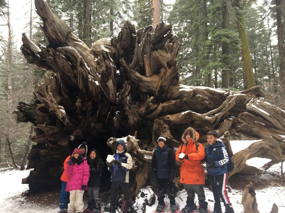 students in winter hats and coats with snowballs in hand pose in front of giant stump