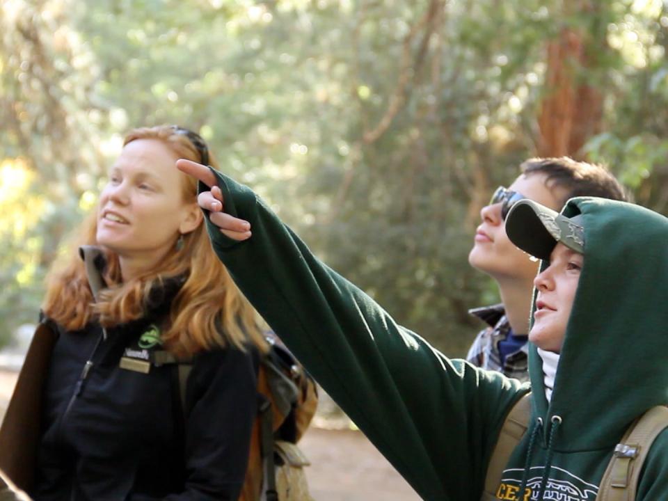 Students in Yosemite observe the local ecosystem