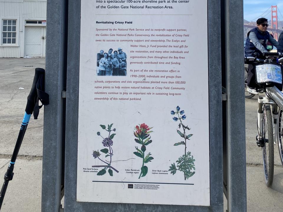 Ingrid's painted wildflowers have been added to several public information kiosks at Crissy Field in the Golden Gate National Recreation Area in San Francisco.