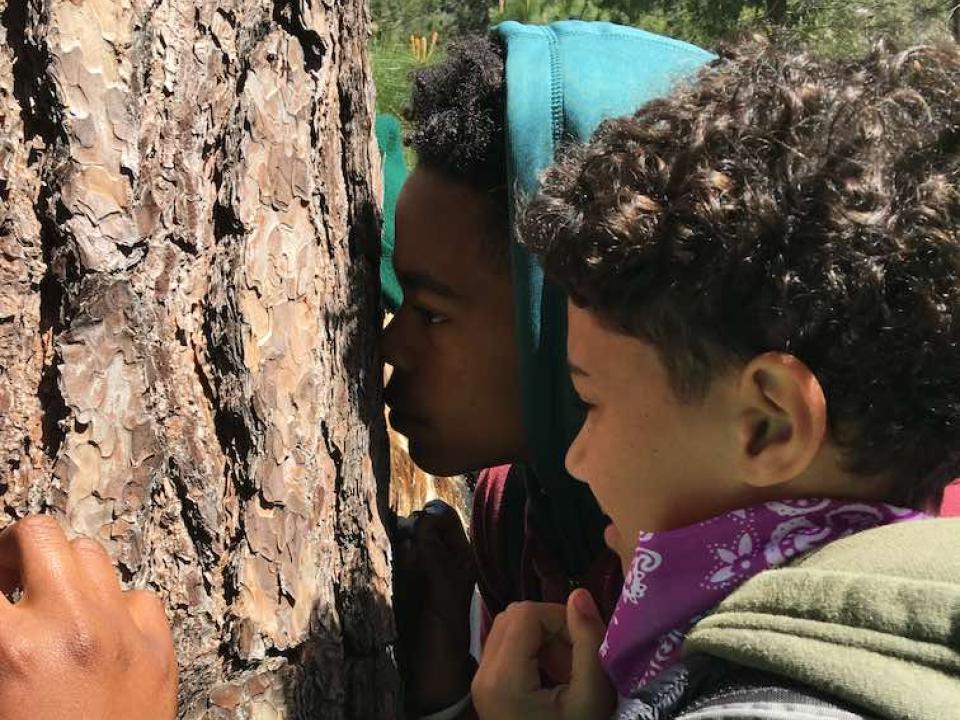 Longfellow Middle School students examining a tree in Yosemite