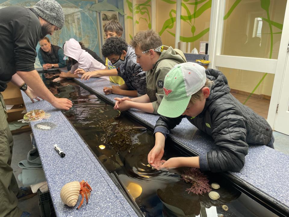 Young students cupping their hands in the water of the touch tank