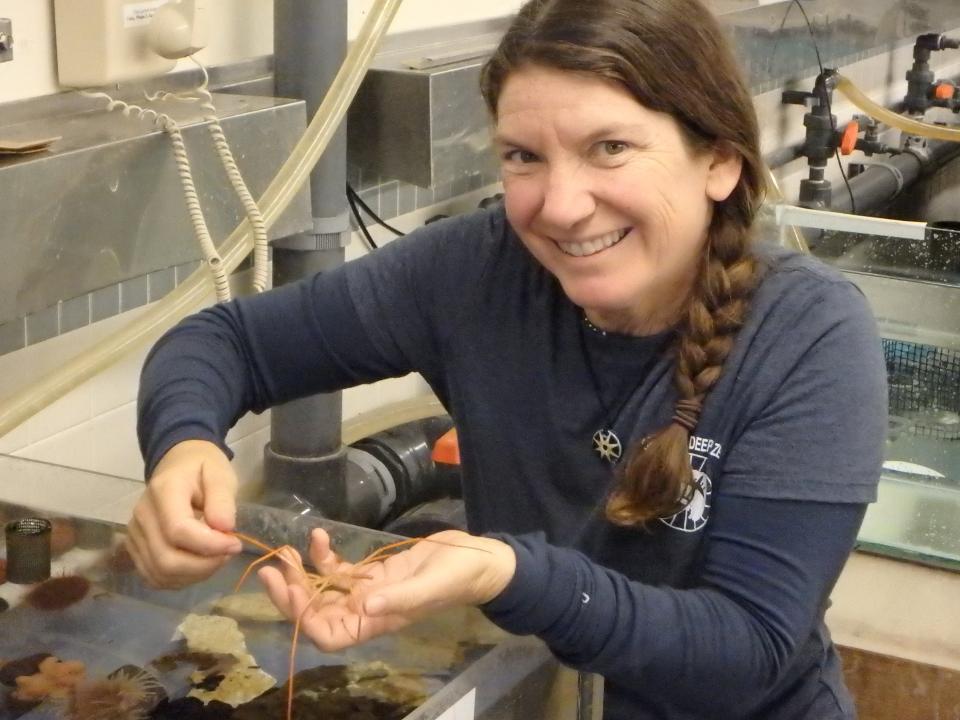 amy holding a sea spider in the lab