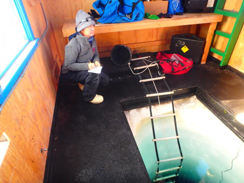 Amy during bundled in layers in the hut during a morning of dive tending and taking notes on salinity.