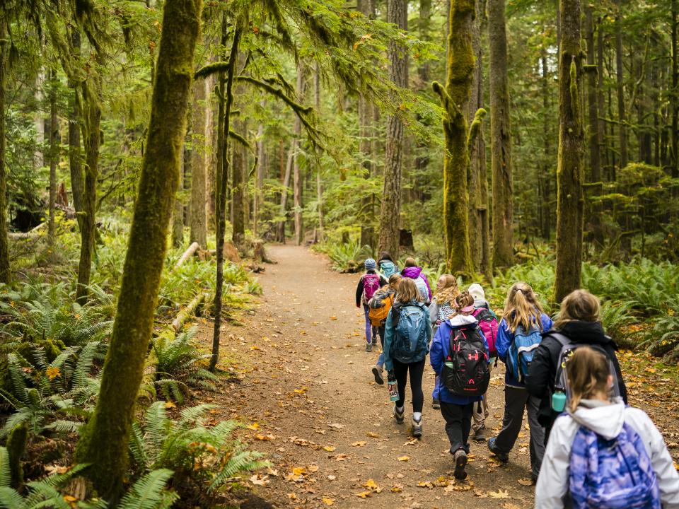Students walking through the old growth forest in Olympic National Park