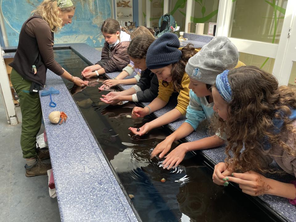 Students exploring the touch tank inside the Intertidal Lab