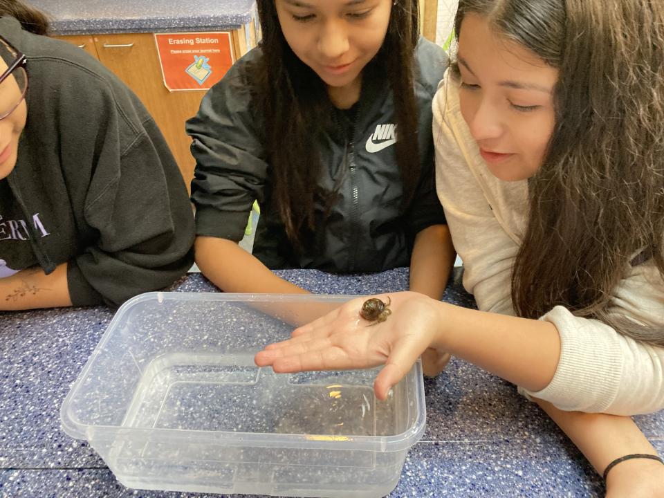 Three students observe a hermit crab held in one student's open hand