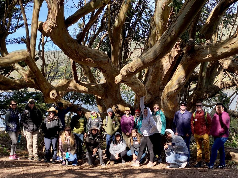 A group of people in the marin headlands in front of a beautiful tree with long extending branches