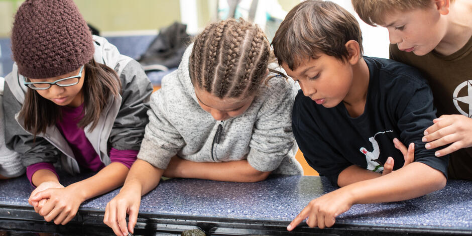 Students learning at the Marine Lab