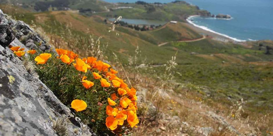 Photo courtesy of Golden Gate National Parks Conservancy.