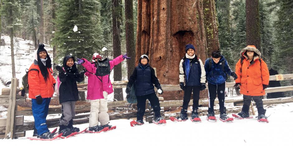 seven students snowshoeing pose in front of sequoia tree