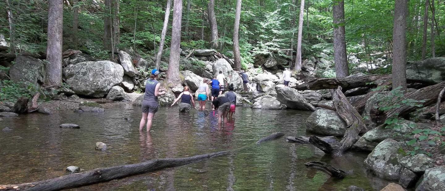 students in creek