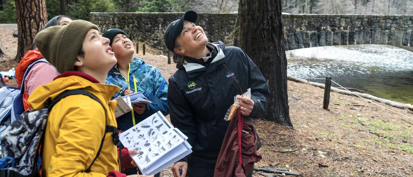 School group and students viewing trees and studying science at NatureBridge Yosemite