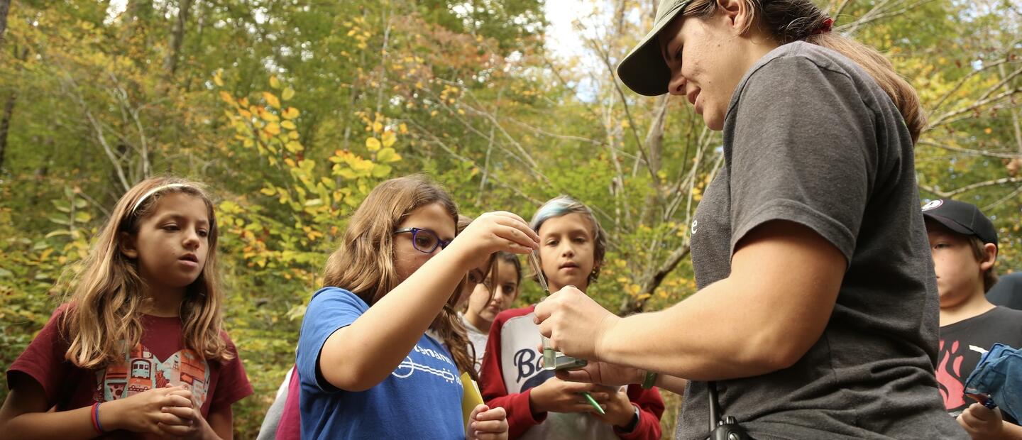 NatureBridge Outdoor Environmental Science Education Programs for Schools