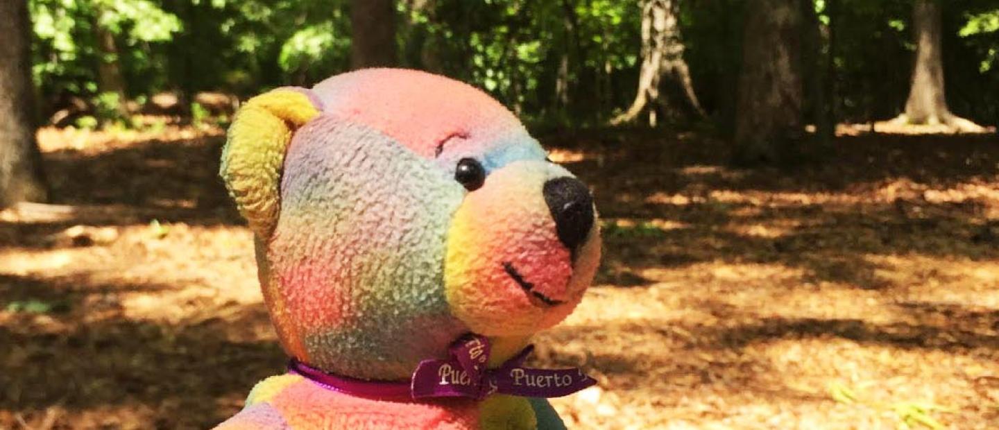 Rico the bear in Prince William Forest Park