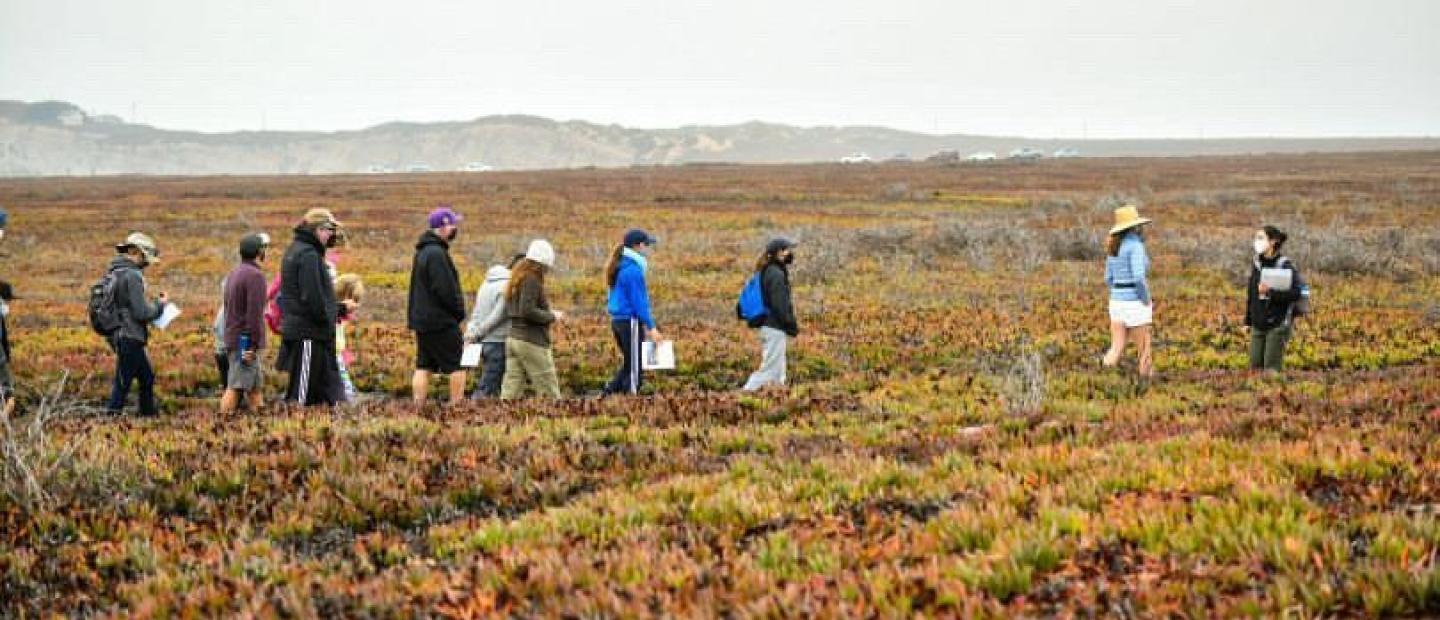 Students walking along an ice plant field at Dangermond Preserve